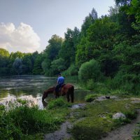 Купание почти красного коня :: Андрей Лукьянов