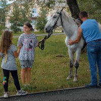 У нас в парке ... :: Евгений Хвальчев