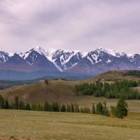 Северо-Чуйский хребет :: Виктор Четошников