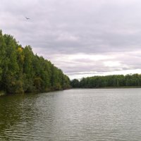 На озере :: Оксана Галлямова