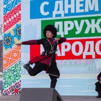 Песни и танцы дружных народов :: Олег Манаенков