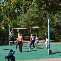 Парковый волейбол... :: Андрей Хлопонин