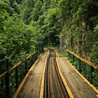 Апшеронская железная дорога в Гуамском ущелье. :: Ирина Нафаня