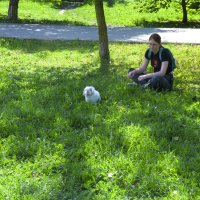 Незнакомка и кролик :: Валентин Семчишин