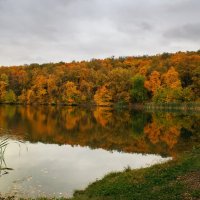 Осенний пруд :: Pavel Blashkin