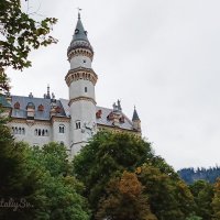 замок Neuschwanstein :: Светлана Баталий