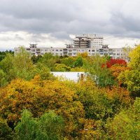Осенний вид из окна :: Андрей Снегерёв