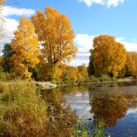 Осенью на озере :: владимир тимошенко 