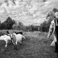 Бабушка Нина и её козы... :: Влад Никишин