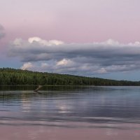 *** :: Светлана Гантажевская