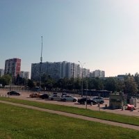 Москва. У метро "Южная" :: Владимир Драгунский