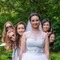 Невеста и её подружки :: Анатолий Клепешнёв