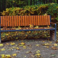 Осень, парк, скамейка... :: Татьяна Помогалова