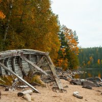 Разбитый бот :: Олег Загорулько