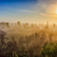 Утром осенним туманно.. :: Юрий Стародубцев