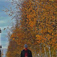 Осень на улице Ленина! :: Владимир 