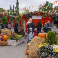 Гастрофестиваль "Золотая осень" :: Ольга 