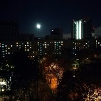 Луна над городом. :: Ольга Довженко
