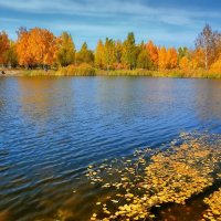 Осень на озере :: Mikhail Irtyshskiy