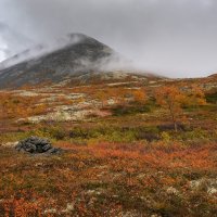 золотая осень в Хибинах. Краски осени :: Galina 