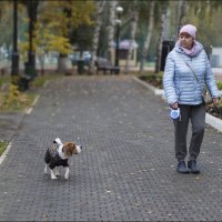 Преданный взгляд :: Александр Тарноградский