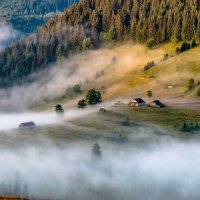 Карпати ранковий туман :: Степан Карачко