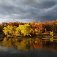 Цвета октября :: Андрей Лукьянов