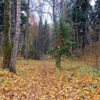 В осеннем парке :: Вера Щукина