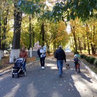 В осеннем парке ( 1) :: Елена Пономарева