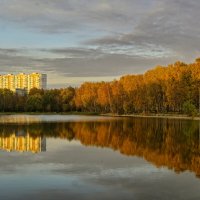 Большой Лосиноостровский пруд ( пруд МГСУ) :: Татьяна repbyf49 Кузина