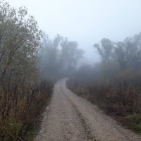 Эх, дороги - пыль да туман... :: Вячеслав Маслов