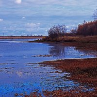 Облака и голубая вода протоки! :: Владимир 