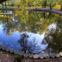 Отражение осени в зеркальной глади пруда :: Ольга Довженко