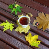 Осенний чай . :: tamara 