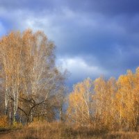 Про осень... :: Влад Никишин
