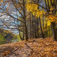 Октябрь в Царицыно... :: Владимир Жданов