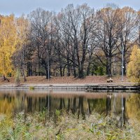 Осенний парк :: Александр Гурьянов
