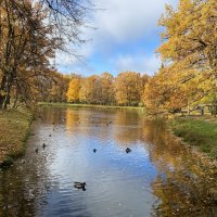 Осенью в Александровском парке. :: Татьяна Ф *