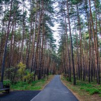 Пикник Парк Белгород :: Александр Леонов