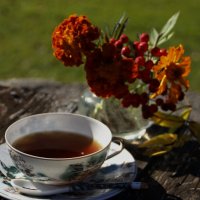 Осенний чай.. :: Татьян@ Ивановна