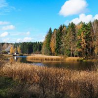 Осенний деревенский пейзаж (репортаж из поездок по области). :: Милешкин Владимир Алексеевич 