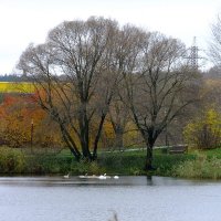 Лебяжий уголок :: Сеня Белгородский