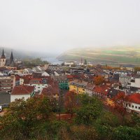 Туман над Рейном :: Николай 