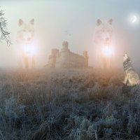 Волчье Царство..( The Wolf Kingdom ) :: Свечение Язычество