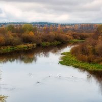 Октябрь на Березине :: Aliaksandr Panchanka