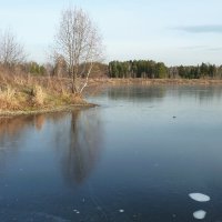 Первый ледок :: Наталья Т