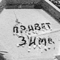 Сегодня пришла зима :: Валерий Иванович