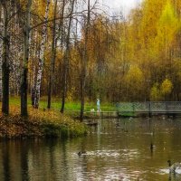 Осенний пруд. :: Александр Семенов