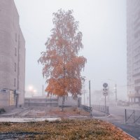 Туманное утро в Брянске :: Sergei Vikulov