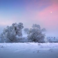 Зимнее утро :: Сергей Шабуневич